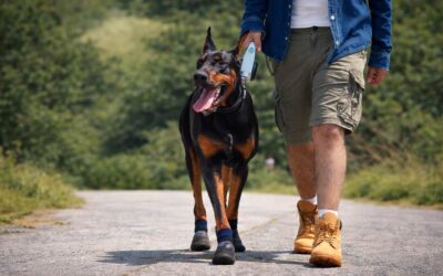 El suelo también puede dañar a tu perro (aunque no lo veas)